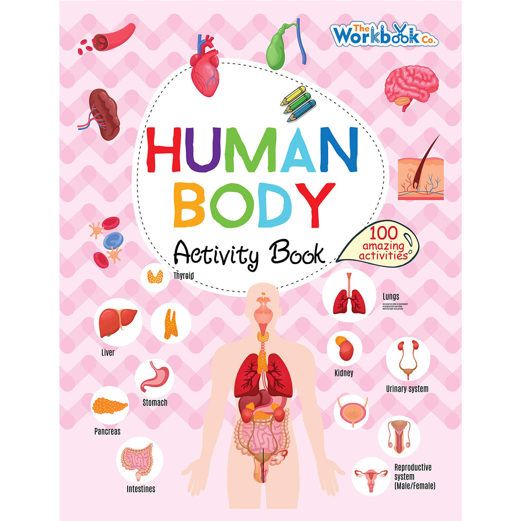 Human Body Activity Book